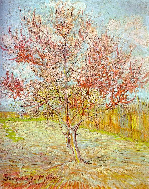 Vincent Van Gogh Peach Tree in Bloom Spain oil painting art